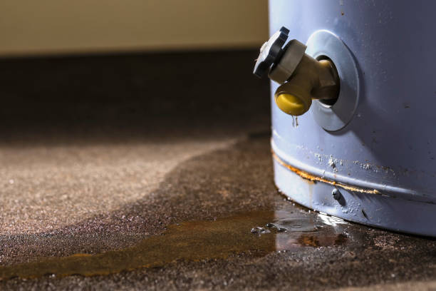 Best Sewage cleanup and water damage restoration  in Park Layne, OH