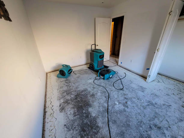 Best Commercial water damage restoration  in Park Layne, OH