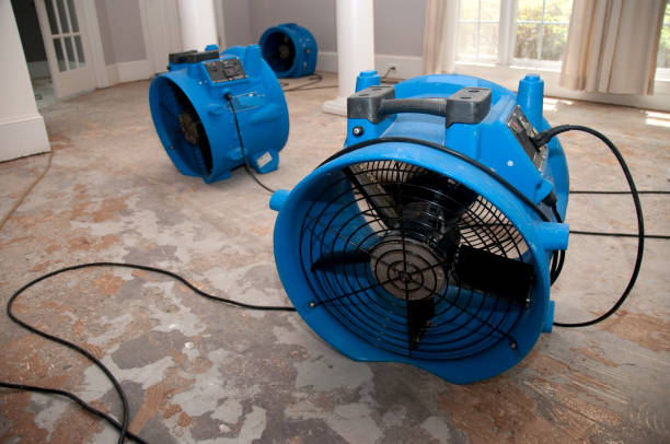 Best Emergency water damage restoration  in Park Layne, OH