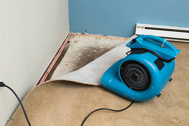 Best Water damage restoration near me  in Park Layne, OH
